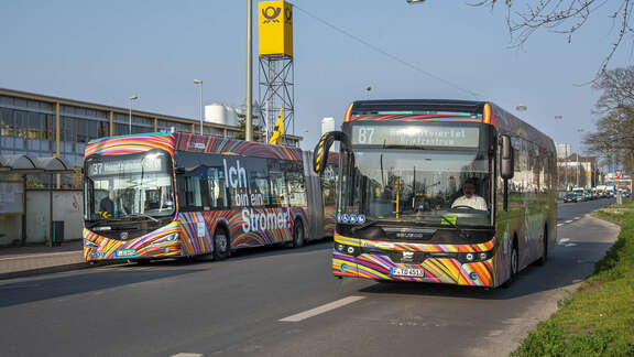 zwei bunt lackierte Busse nebeneinander auf einer Straße