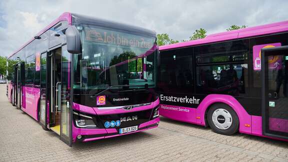 Zwei Busse mit pinkem Lack und der Aufschrift: Ersatzverkehr