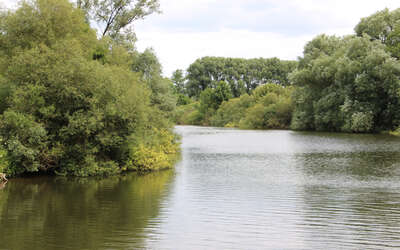 Flick auf grün umsäumten Fluss