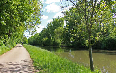 Radweg links neben einem schmalen braunen Fluss mit Bäumen