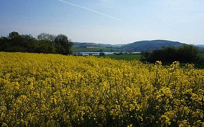 Vergrößerte Ansicht: Blick westlich von Ahrdt auf den Aartalsee