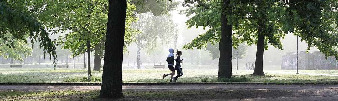 Zwei Jogger im Park.
