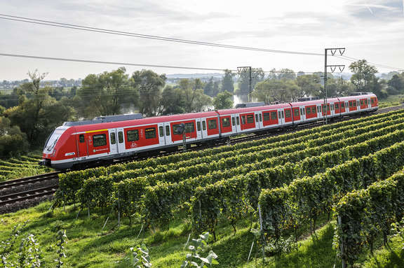 S-Bahn S1 in Fahrt nebst Weinreben