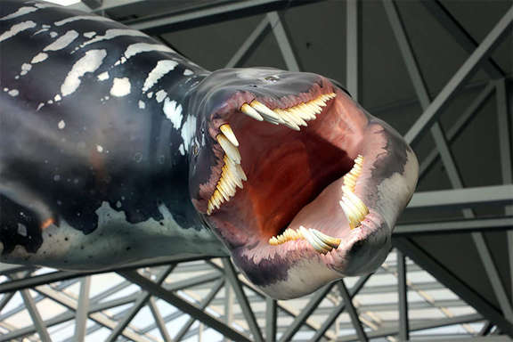 Vergrößerte Ansicht: Dinosaurier-Maul mit scharfen Zähnen