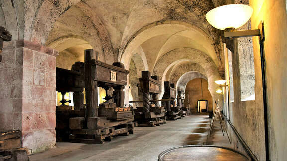 Gewölbe mit historischen Weinkeltern.