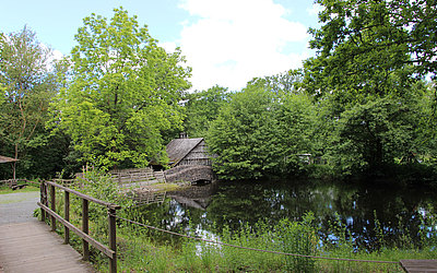 Vergrößerte Ansicht: Ein Teich im Hessenpark 
