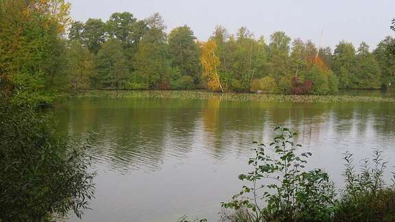 Fluss, im Vordergrund Gras, auf der gegenüberliegenden Uferseite Laubbäume, die sich im Wasser spiegeln