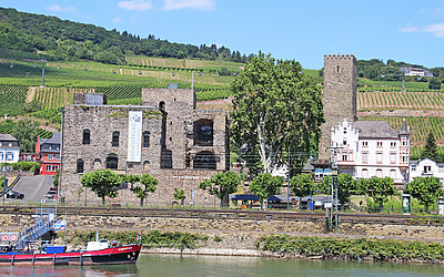 Vergrößerte Ansicht: Burg vor Weinbergen