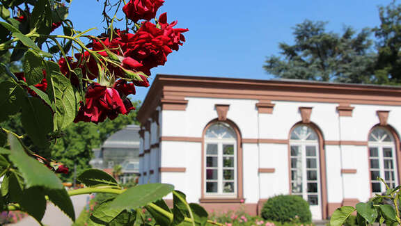 Haus Rosenbrunn im Rosengarten