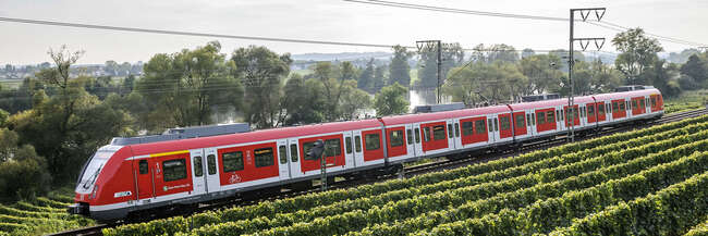 S-Bahn S1 in Fahrt nebst Weinreben