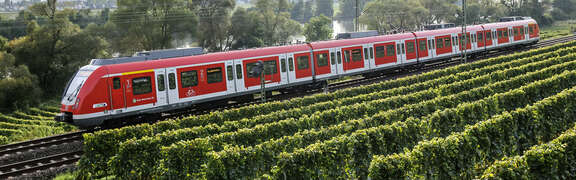 S-Bahn S1 in Fahrt S-Bahn S1 in Fahrt nebst Weinreben