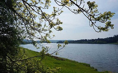 Vergrößerte Ansicht: Blick vom Ufer auf den See