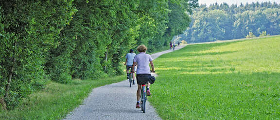 Fahrradfahrer am Waldrand unterwegs