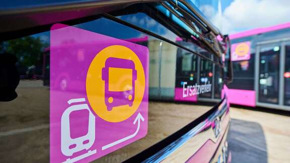 SEV-Busse mit auffälligem Design und pinken Piktogrammen.