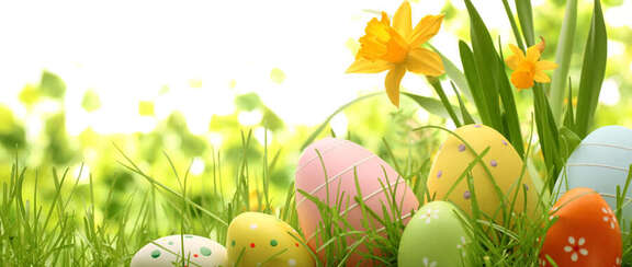 bunte Ostereier auf einer Wiese