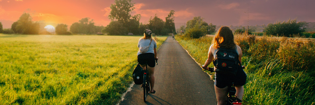 Radler fahren neben einer Wiese dem Sonnenuntergang entgegen.