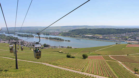 Vergrößerte Ansicht: Blick aus der Seilbahn auf Rüdesheim