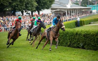 Jockeys auf Pferden auf der Rennbahn