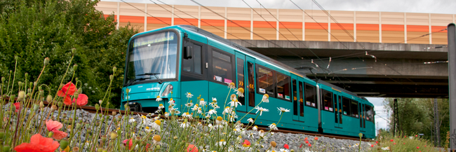 U-Bahn U9 Eine U-Bahn fährt durch eine Landschaft, vorne im Bild eine Blumenwiese