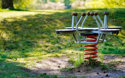 ein Spielgerät auf einem Waldspielplatz