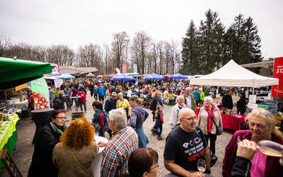 Blick auf die Besucher des Vulkanfestes