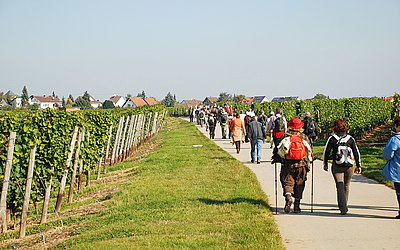 Vergrößerte Ansicht: Wandergruppe auf dem Weg