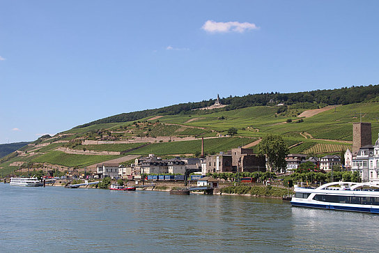 Panorama Rüdesheim mit Blick auf Niederwalddenkmal Blick vom Schiff auf Rüdesheim: Bahngleise, Häuser, Brömserburg und Niederwalddenkmal