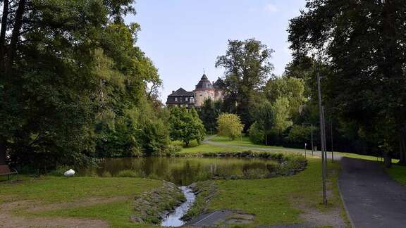 Park, im Hintergrund hinter Bäumen ein Schlossgebäude