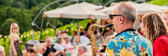 Saxophonspieler vor Gästen in einem Weinberg.