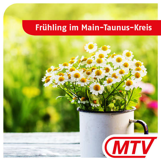 Frühling im MTK frühling_02.jpg