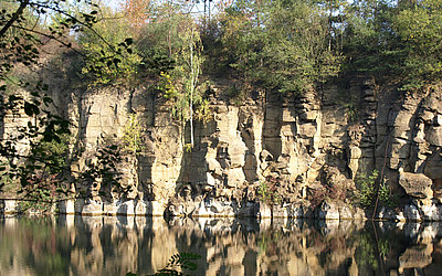 Vergrößerte Ansicht: Basaltwand an einem See in den ehemaligen Steinbrüchen bei Mühlheim-Dietesheim