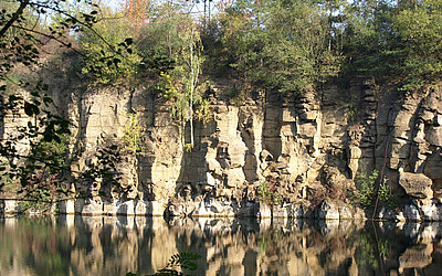 Vergrößerte Ansicht: Basaltwand an einem See in den ehemaligen Steinbrüchen bei Mühlheim-Dietesheim