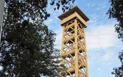 Aussichtsturm aus Holz, umsäumt von hohen Bäumen