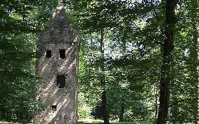 Vergrößerte Ansicht: Ruine im Wald