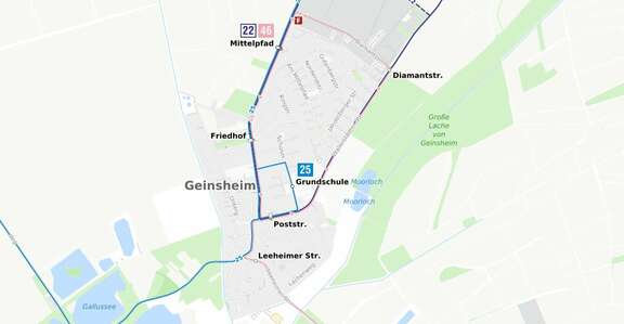 Liniennetzplan Geinsheim