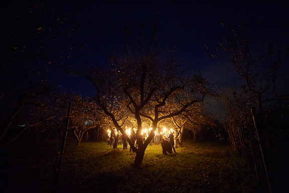 Menschen halten hinter einem Baum Fackeln nach oben in den Nachthimmel