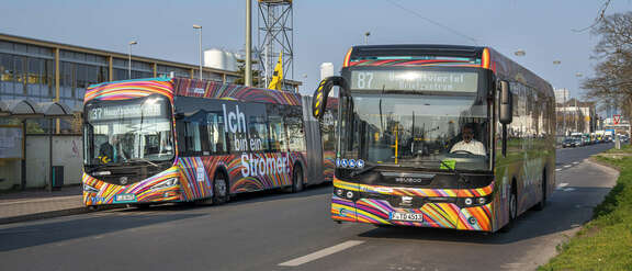 zwei bunt lackierte Busse nebeneinander auf einer Straße