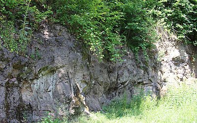 Vergrößerte Ansicht: Aufgelassener Steinbruch mit geologischer Formation am Plateau des Glaubergs
