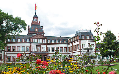 Vergrößerte Ansicht: Blick auf das Schloss mit Blumen im Vordergrund