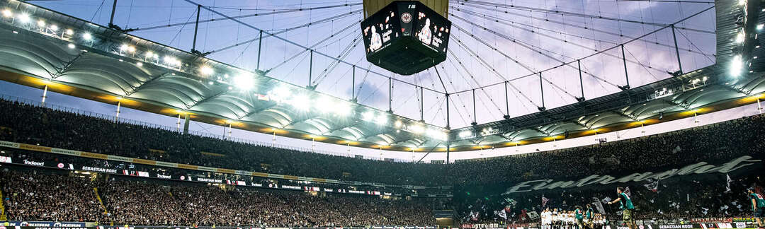 Videowürfel über dem Rasen