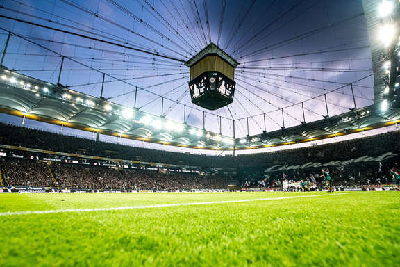 Videowürfel über dem Rasen