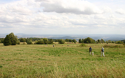 Vergrößerte Ansicht: Zwei Wanderer auf einem Pfad zwischen Feldern