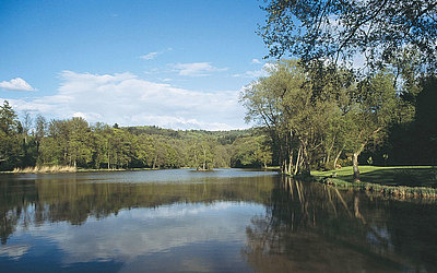 Vergrößerte Ansicht: Weiher "Im Thiergarten" bei Büdingen