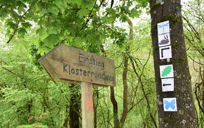 Wald, Schild mit Schrift: Zum Klostersteig