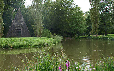 Vergrößerte Ansicht: Grüner Teich