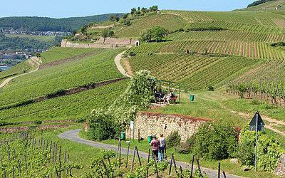 Vergrößerte Ansicht: Wanderwege in den Rüdesheimer Weinbergen