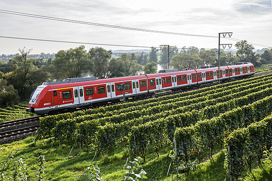 S-Bahn S1 in Fahrt S-Bahn S1 in Fahrt
