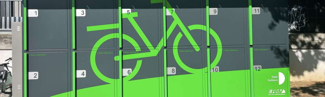 Container mit 12 Fahrradboxen und grünem Fahrradmotiv