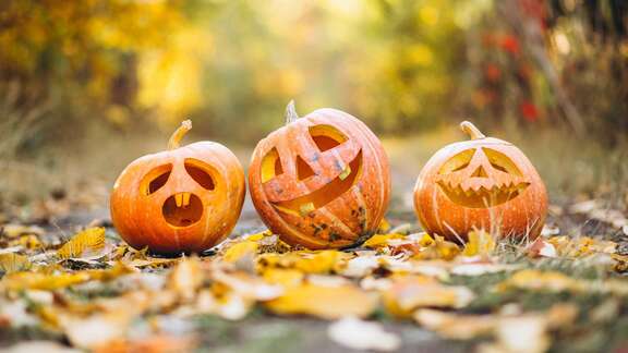 Drei Kürbisse mit geschnitzten Halloween-Gesichtern im Herbstwald.