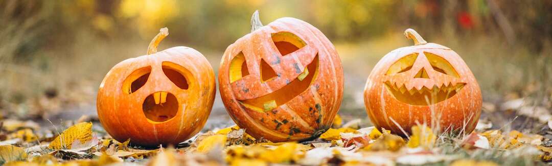 Drei Kürbisse mit geschnitzten Halloween-Gesichtern im Herbstwald.